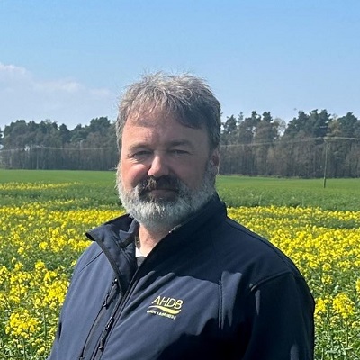 Image of staff member Mark Bollebakker 